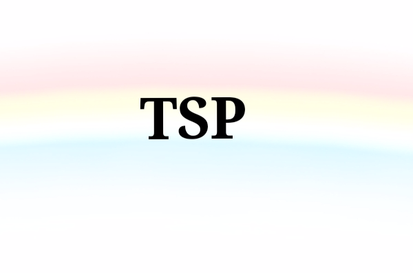 TSP(計量單位)