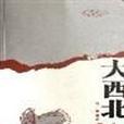 大西北放歌 大西北放歌