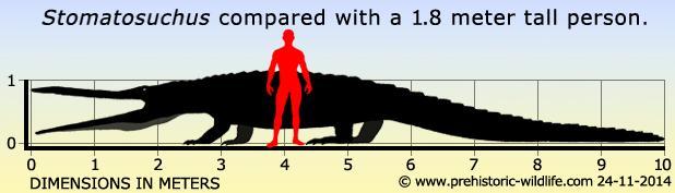 科學家模擬無棘腔鱷與人類對比