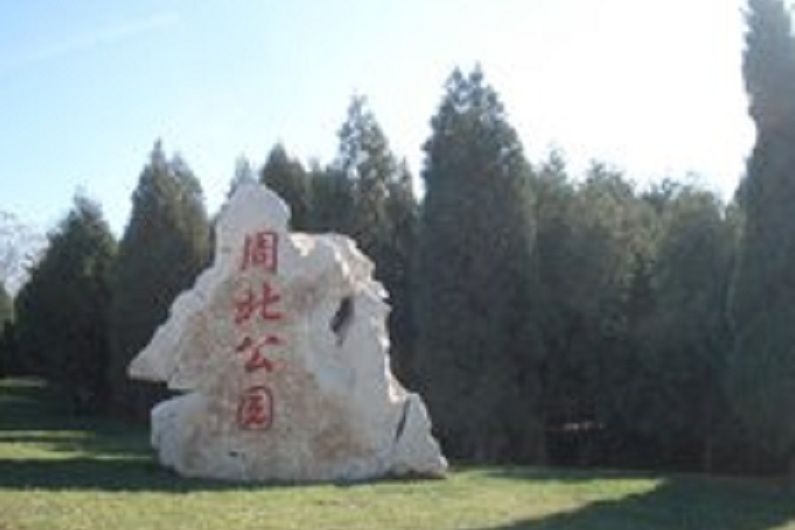 周北公園 周北公園