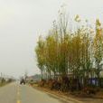 油房堡村(山西省平遙縣寧固鎮下轄村) 油房堡村(山西省平遙縣寧固鎮下轄村)