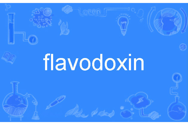 flavodoxin flavodoxin