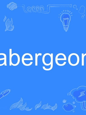 habergeon habergeon
