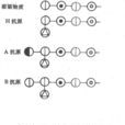 rh型血 rh型血