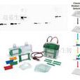 蛋白質印跡法(Western Blot)