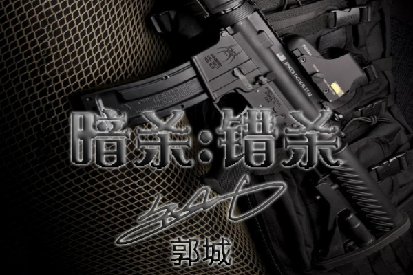 暗殺:錯殺 暗殺:錯殺