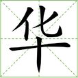 華(漢語漢字)
