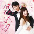 快樂婚禮(日本2016年藤岡靛主演電視劇) 快樂婚禮(日本2016年藤岡靛主演電視劇)