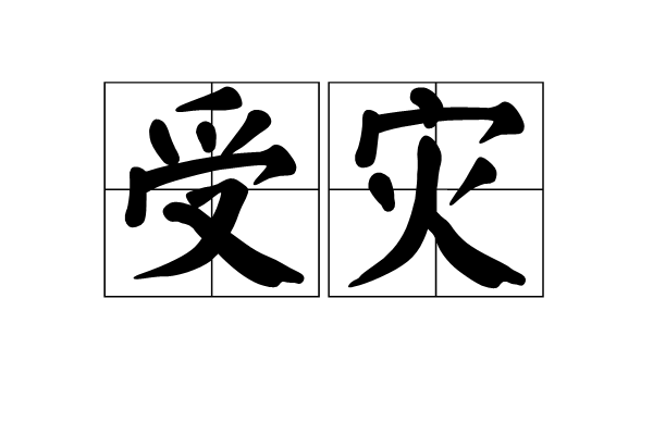 受災 受災