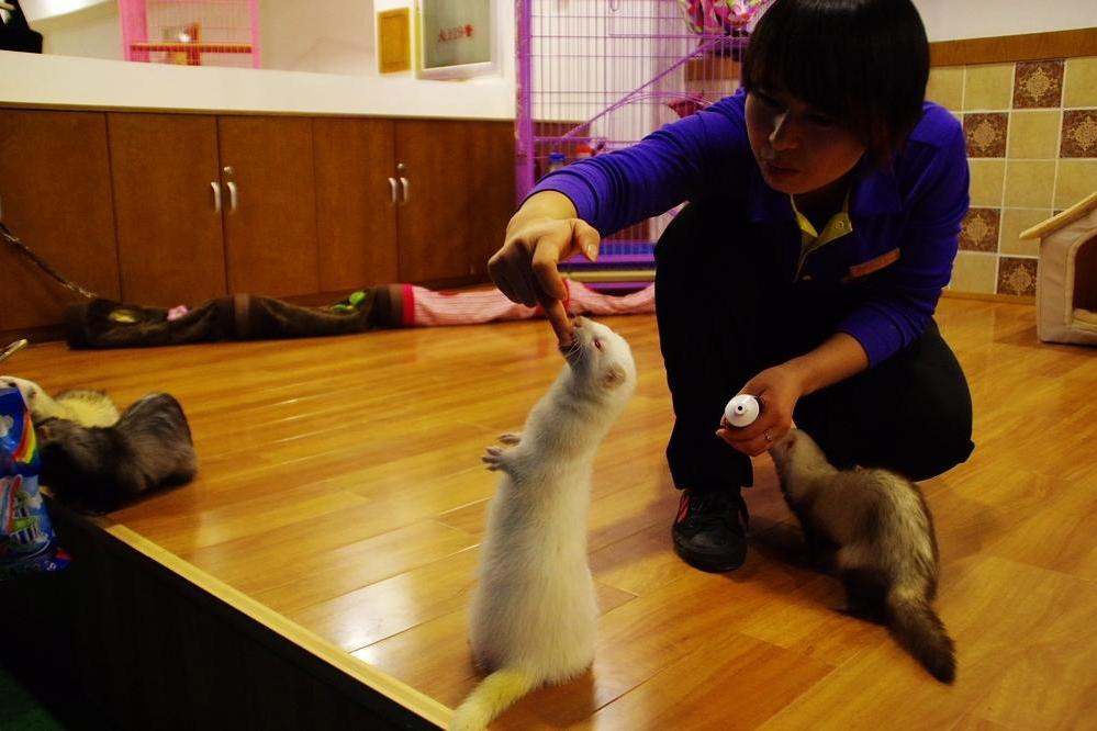 寵愛樂園 寵愛樂園