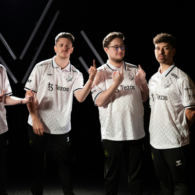Team Vitality(vitality(歐洲電子競技俱樂部)) Team Vitality(vitality(歐洲電子競技俱樂部))