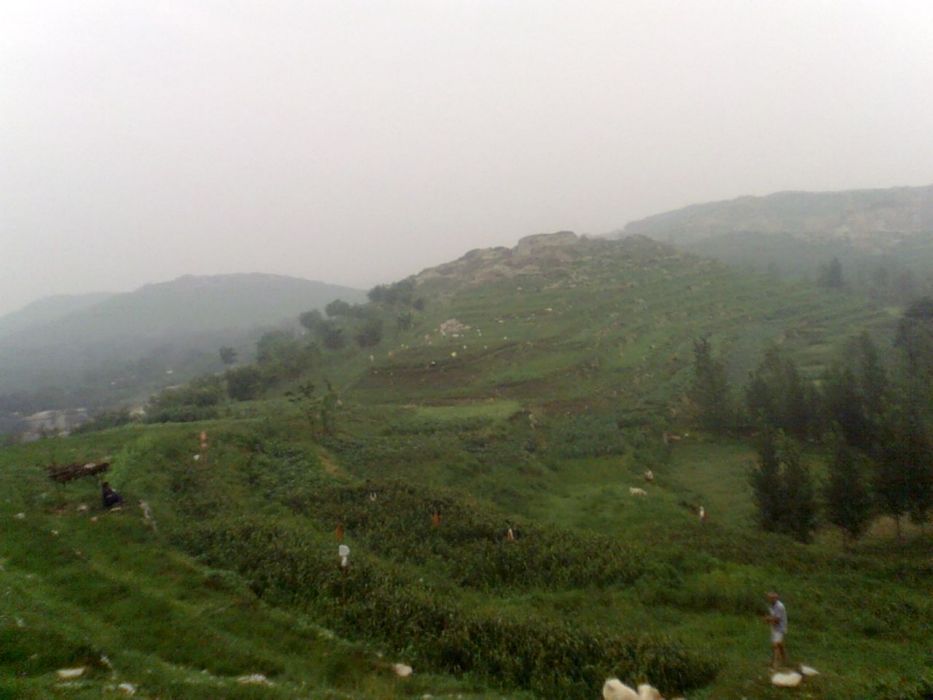 北棗園村 北棗園村