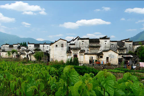 碧宗村 碧宗村