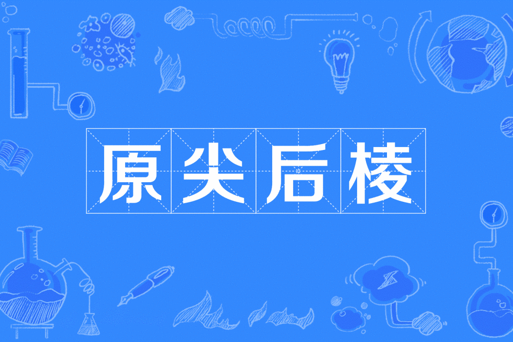 原尖後棱 原尖後棱