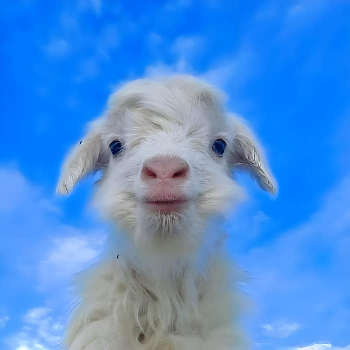 瘋陽☀️ 瘋陽☀️