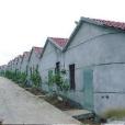 建中村(浙江嘉興市平湖市全塘鎮下轄村) 建中村(浙江嘉興市平湖市全塘鎮下轄村)