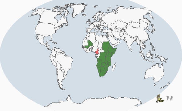 非洲黃嘴鴨分布圖