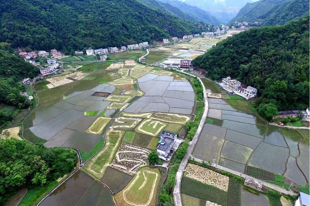 仁河口鎮