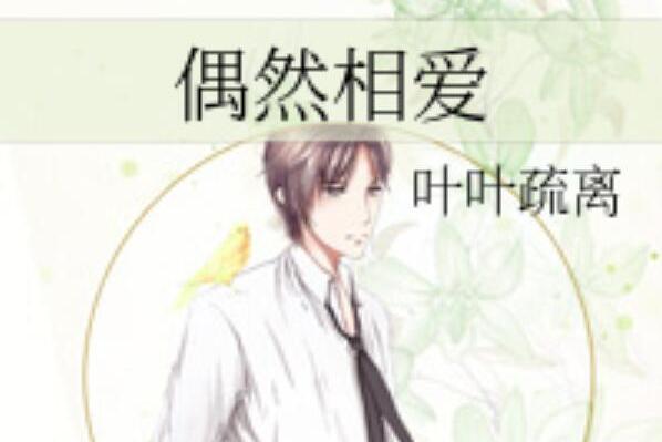 偶然相愛 偶然相愛