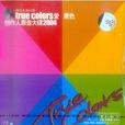 true colors創作人原音大碟2004 愛原色(CD)