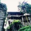 金藏(湖南省張家界市桑植縣金藏鄉) 金藏(湖南省張家界市桑植縣金藏鄉)