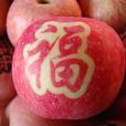 貼字蘋果 貼字蘋果