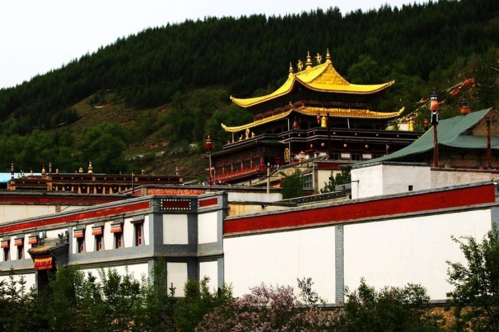 小花寺 小花寺