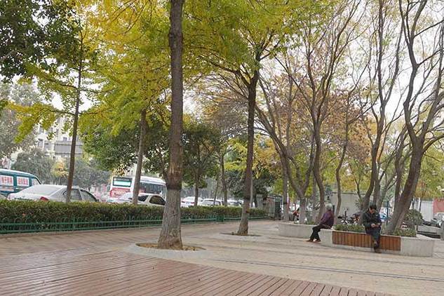 金槐園(臨沂市蘭山區口袋公園之一) 金槐園(臨沂市蘭山區口袋公園之一)