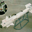 AA-2飛彈 AA-2飛彈