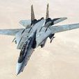 F-14戰鬥機(雄貓（F-14Tomcat重型可變後掠翼艦載截擊機）)