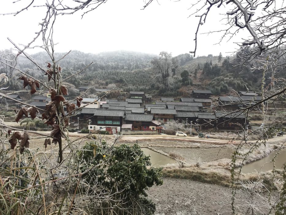 同門組 同門組