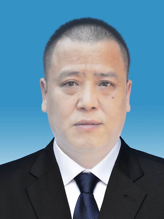 彭海峰(重慶市萬州區太安鎮委員會委員、紀委書記)