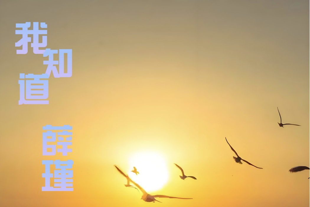 我知道(薛瑾演唱的歌曲) 我知道(薛瑾演唱的歌曲)
