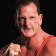 Dave Taylor Dave Taylor