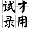 試才錄用 試才錄用