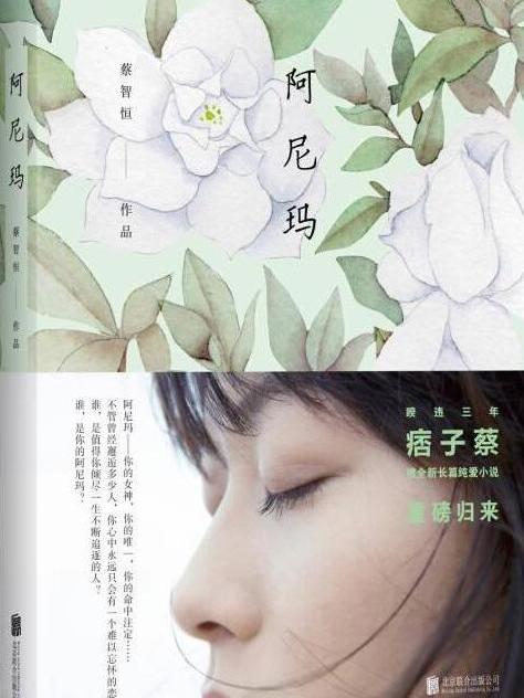 阿尼瑪(2014年北京聯合出版公司出版的圖書)