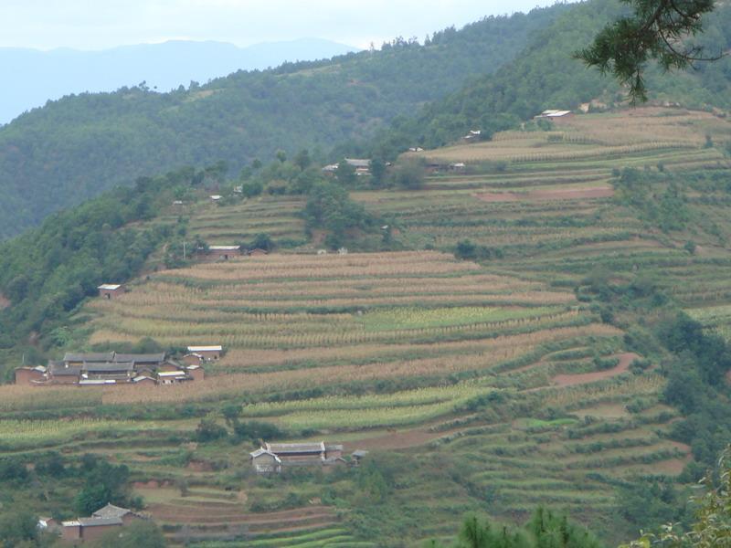 下獨家村 下獨家村
