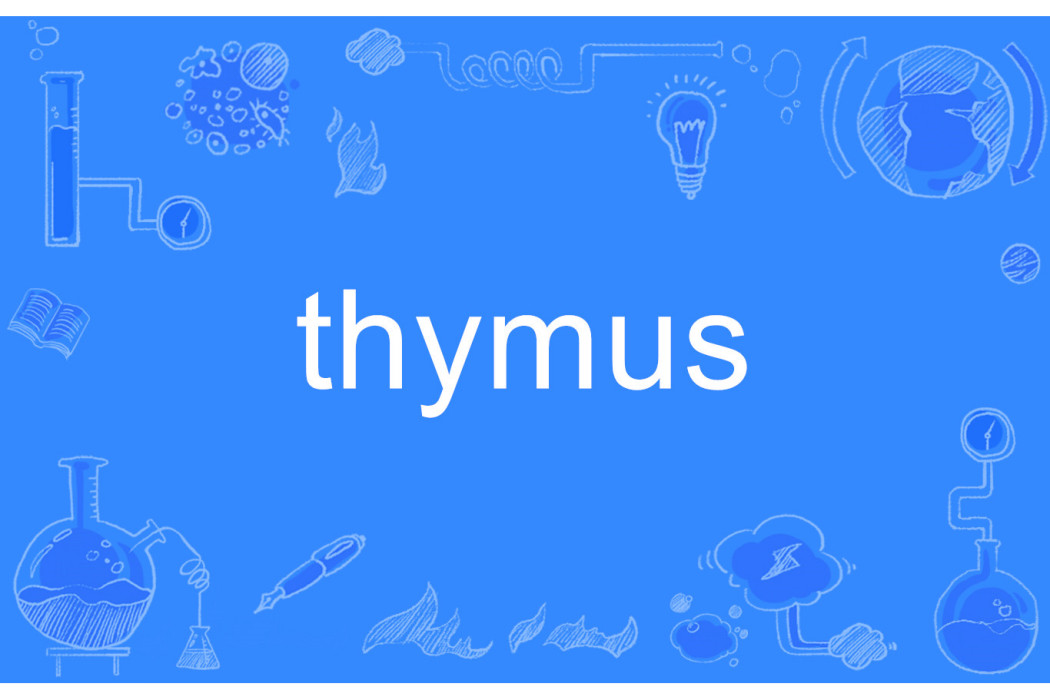 thymus thymus