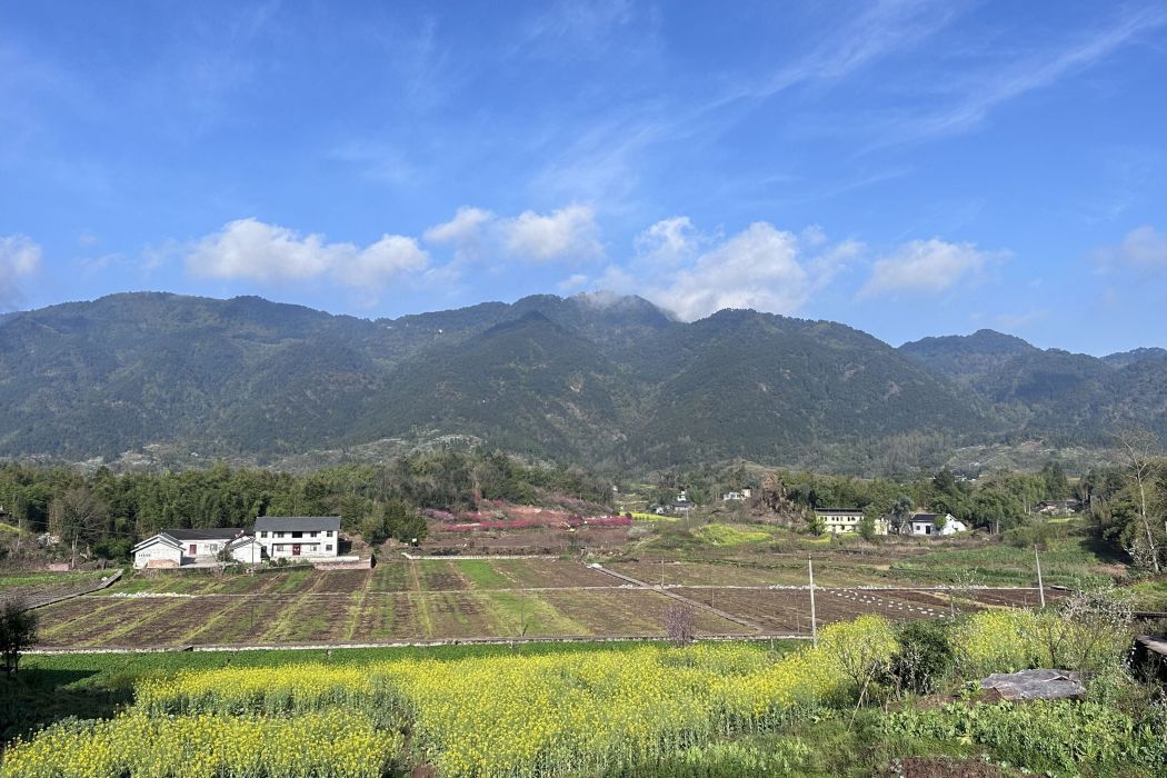 高橋村(大興鎮高橋村) 高橋村(大興鎮高橋村)
