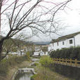 洋山村(浙江省寧波市鄞州區東錢湖鎮下轄村) 洋山村(浙江省寧波市鄞州區東錢湖鎮下轄村)