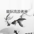 星際流浪者號 星際流浪者號