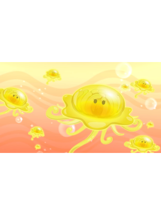 菊花水母 菊花水母