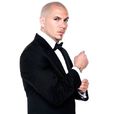 Pitbull Pitbull
