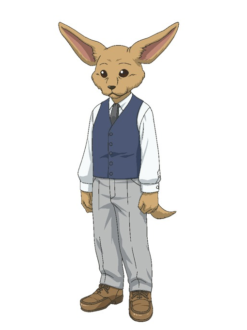 波司 波司
