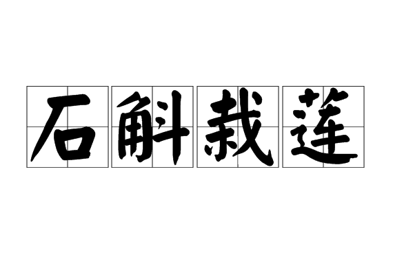 石斛栽蓮