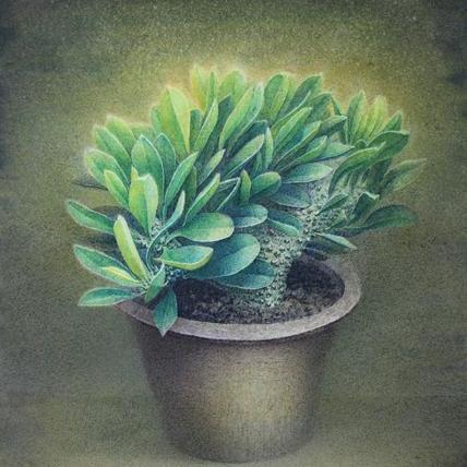 吳華寧 吳華寧