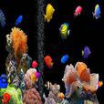 5D水族館 5D水族館