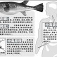 河豚毒素中毒 河豚毒素中毒