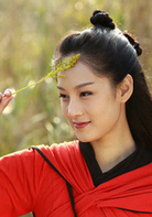 天龍八部(2013年鐘漢良主演電視劇)