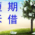 短期拆借 短期拆借